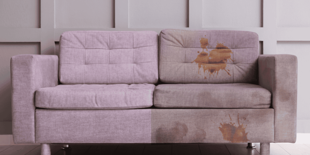 Best sofa cleaners 